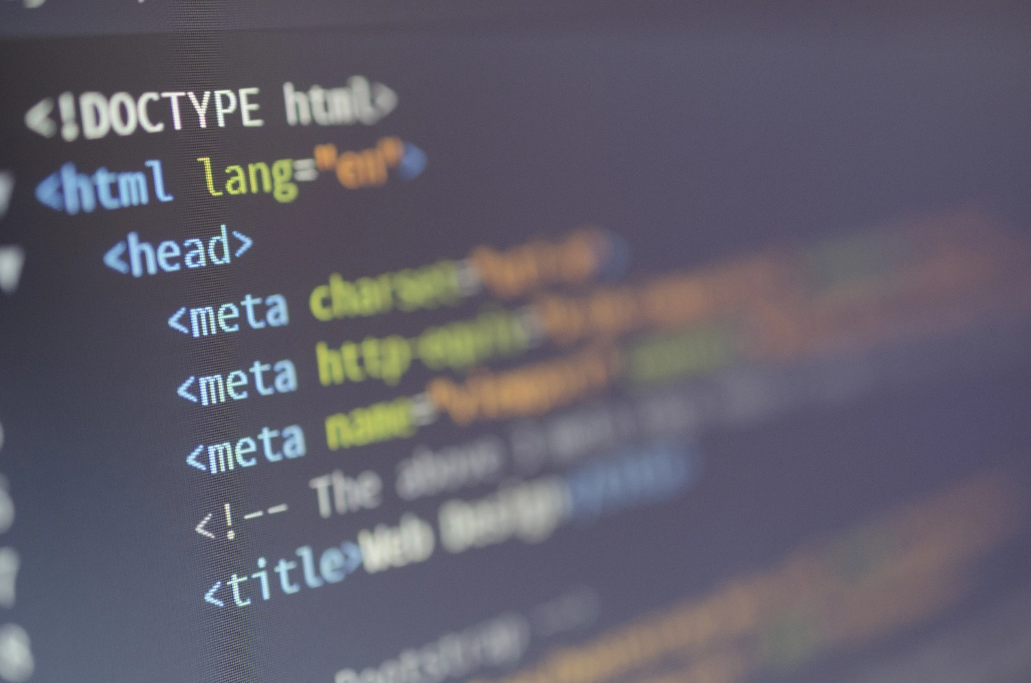 What Does a Web Developer Do